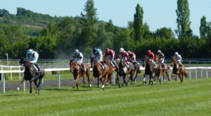 Horse Race