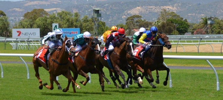Horse Racing