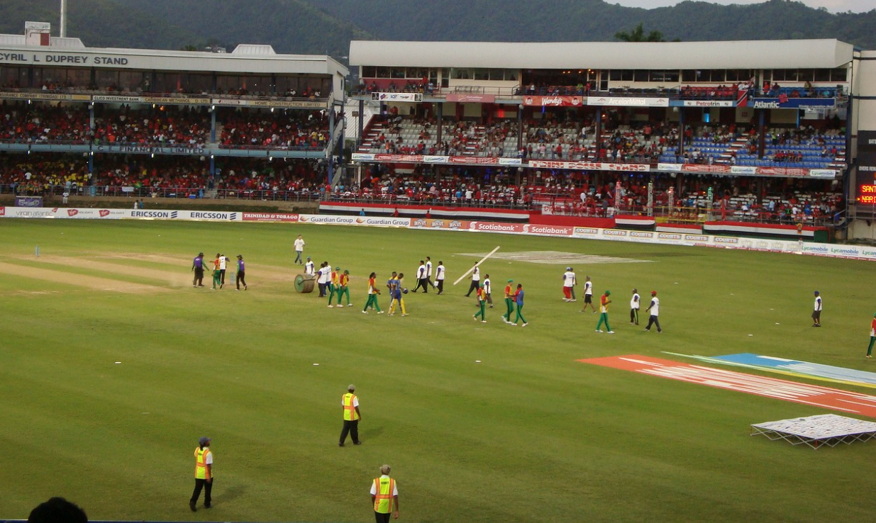 cricket pitch